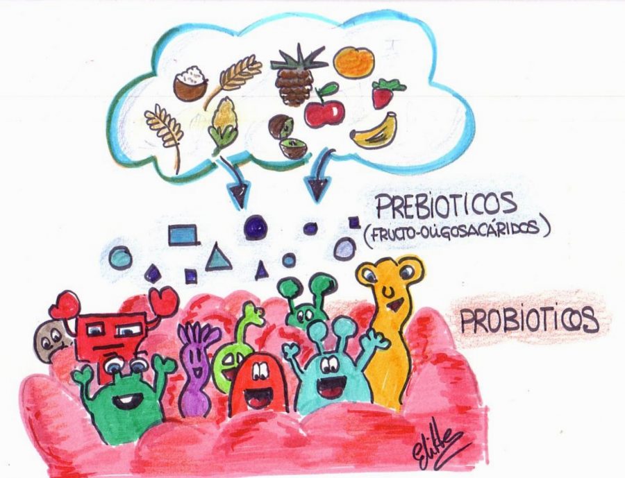 Beneficio de los probióticos